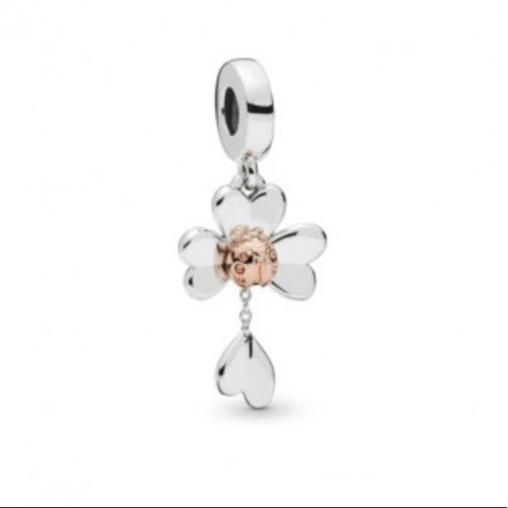 Sterling Silver Charm 925
